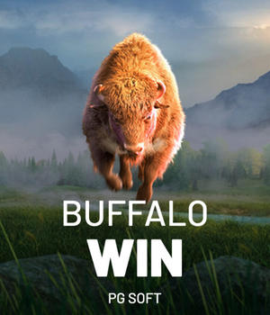 Buffalo Win